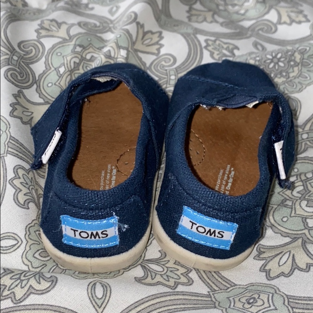 Baby toms